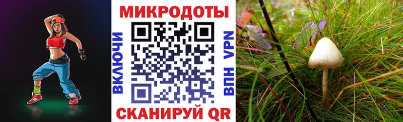 Галлюциногенные грибы мицелий  где можно купить   Олёкминск 